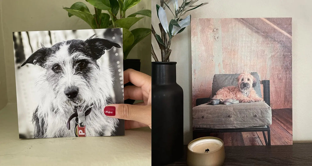 Two framed photographs of dogs with custom wood prints in a Pet Hall of Fame display.