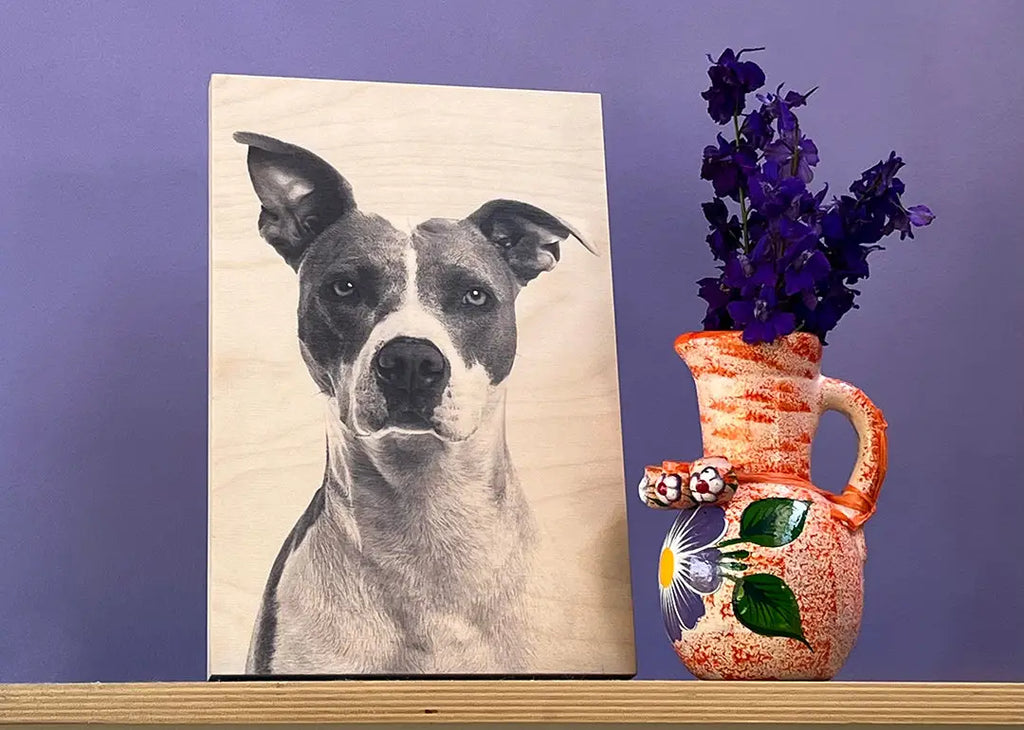 Portrait of a pit bull with unique features for an 8x12 wood print of beloved pets.