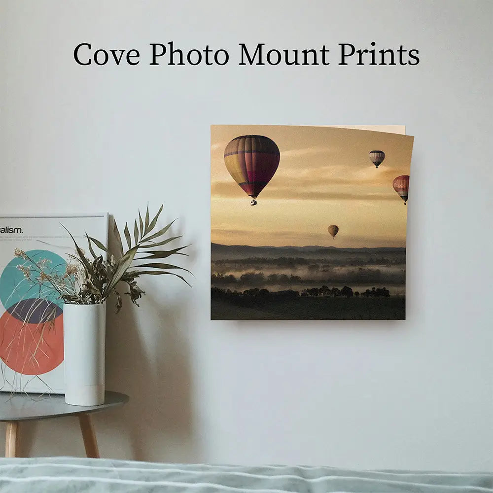 Hot air balloons over misty landscape in Cove Photo Mount Prints collection.