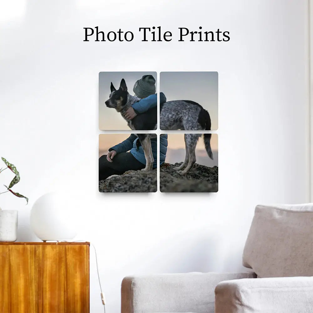 Photo tile print of a dog on a beach at sunset in four square panels.