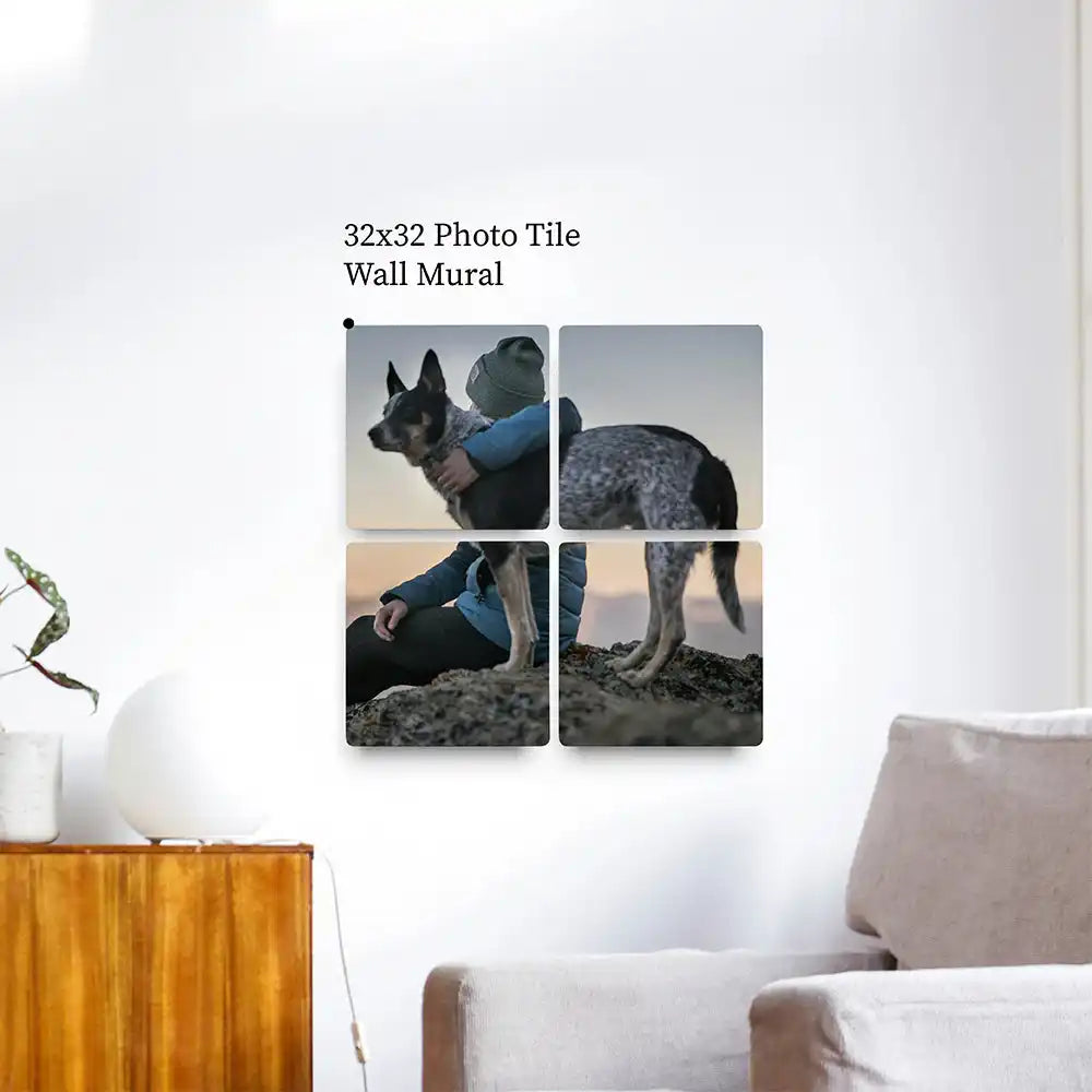 32x32 photo tile wall mural featuring a black dog split across four panels.