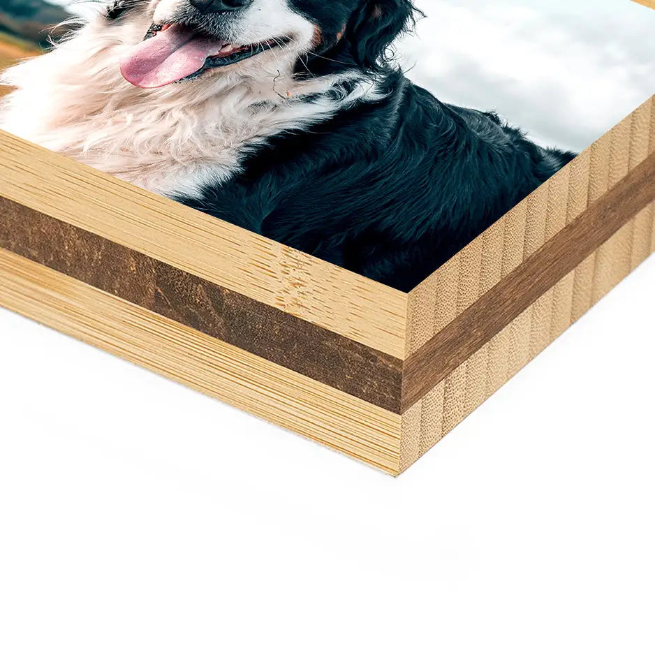 A dog sitting in a wooden box on an 8x10 Bamboo Photo Block display