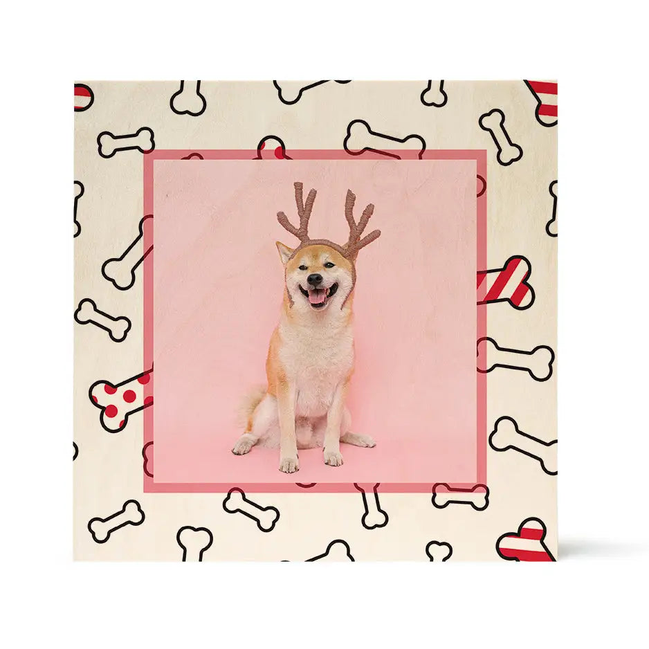 Smiling dog with reindeer antlers on pink background with Christmas dog bones decor