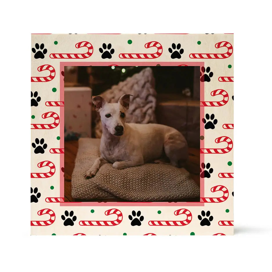 Dog resting on a textured surface with Christmas paws & candy canes border design