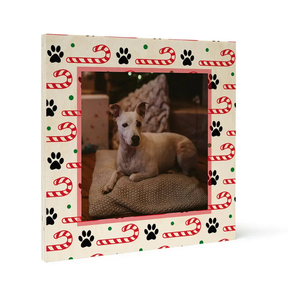 Framed photograph of a dog on a cushion in Birch Pattern Wood with Christmas Paws design