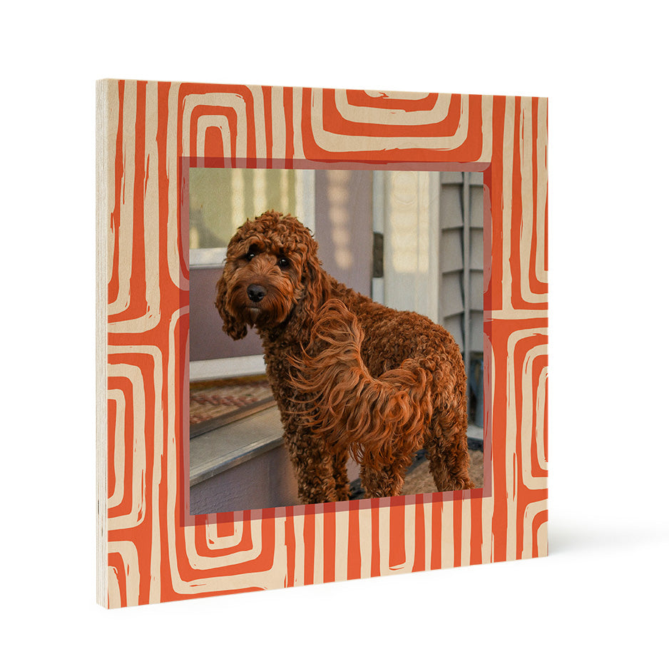 Framed dog portrait on Birch Pattern Wood Print in Spring Orange Boxes design