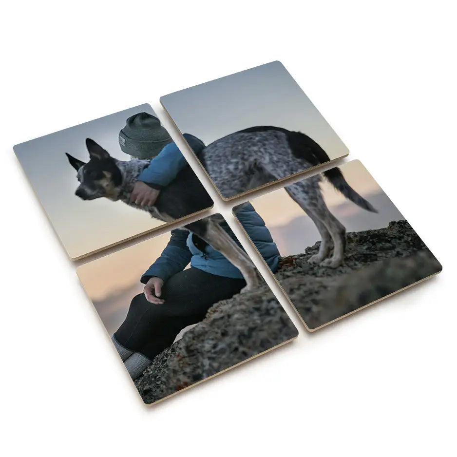 Dog standing on a rock coaster in a Create Your Own Photo Tile Wall Mural