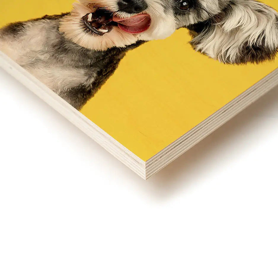 Dog Portraits of a happy dog on yellow background for a photo locket wood design