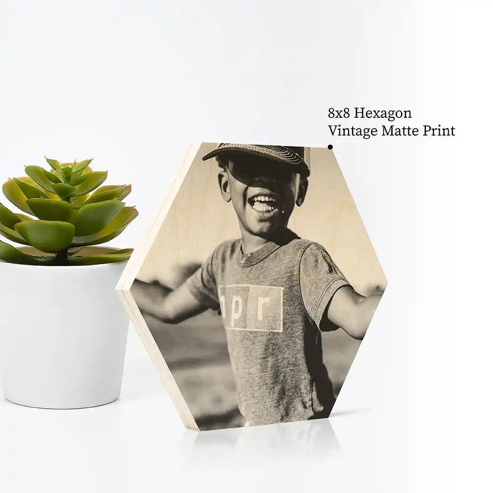 Hexagonal vintage-style matte photo print displayed next to a small potted succulent.