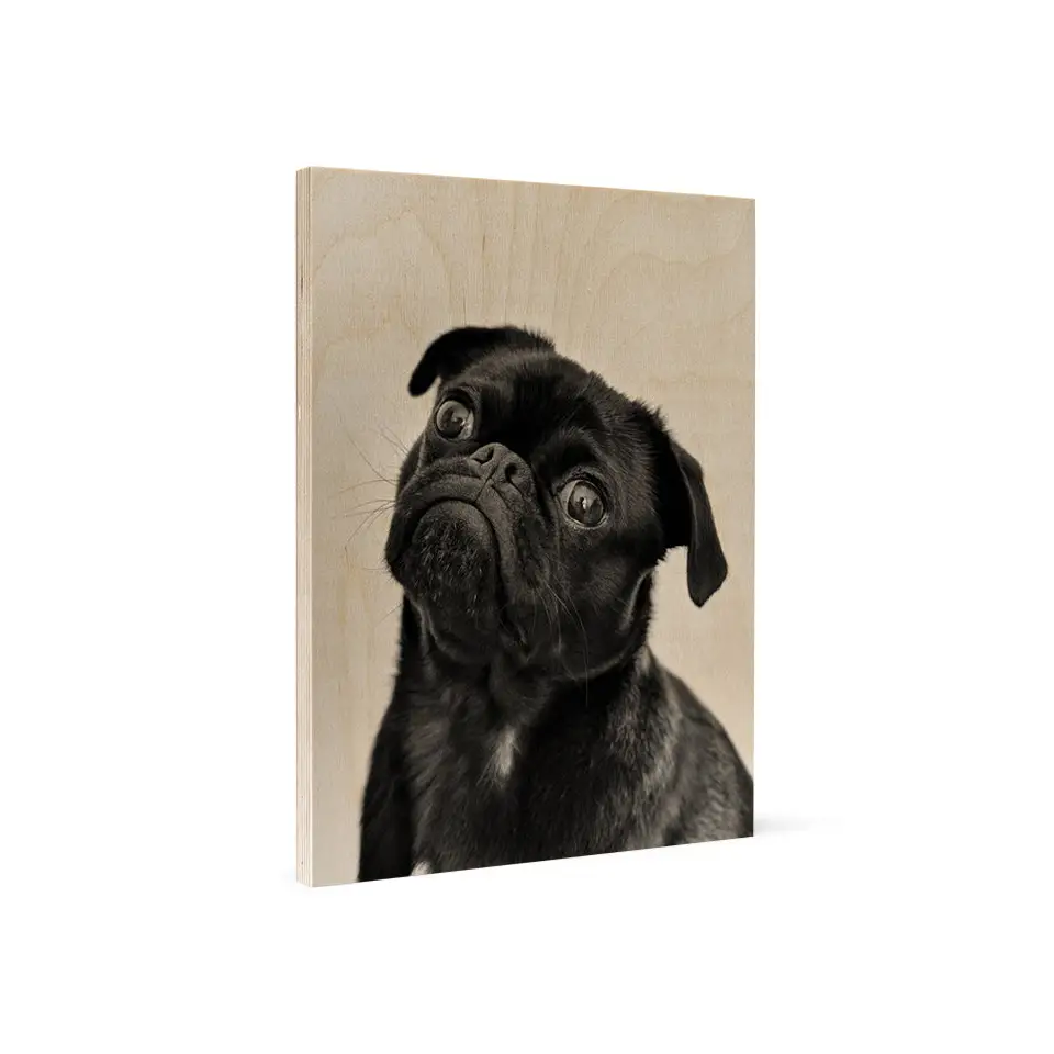 Pet Portrait Create Yours! - 8x10 / Vintage Matte No Frame