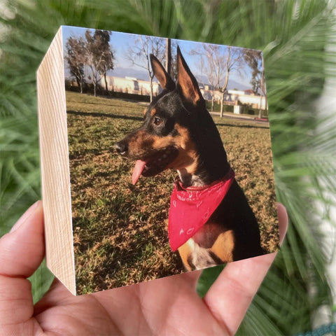 Doberman in red bandana on custom wood print featured in Pet Hall of Fame.