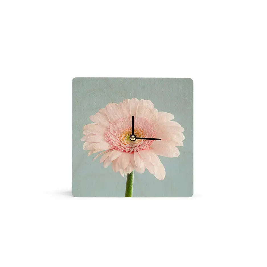 Pink gerbera daisy with clock hands, highlighting personalized clocks for timeless memories