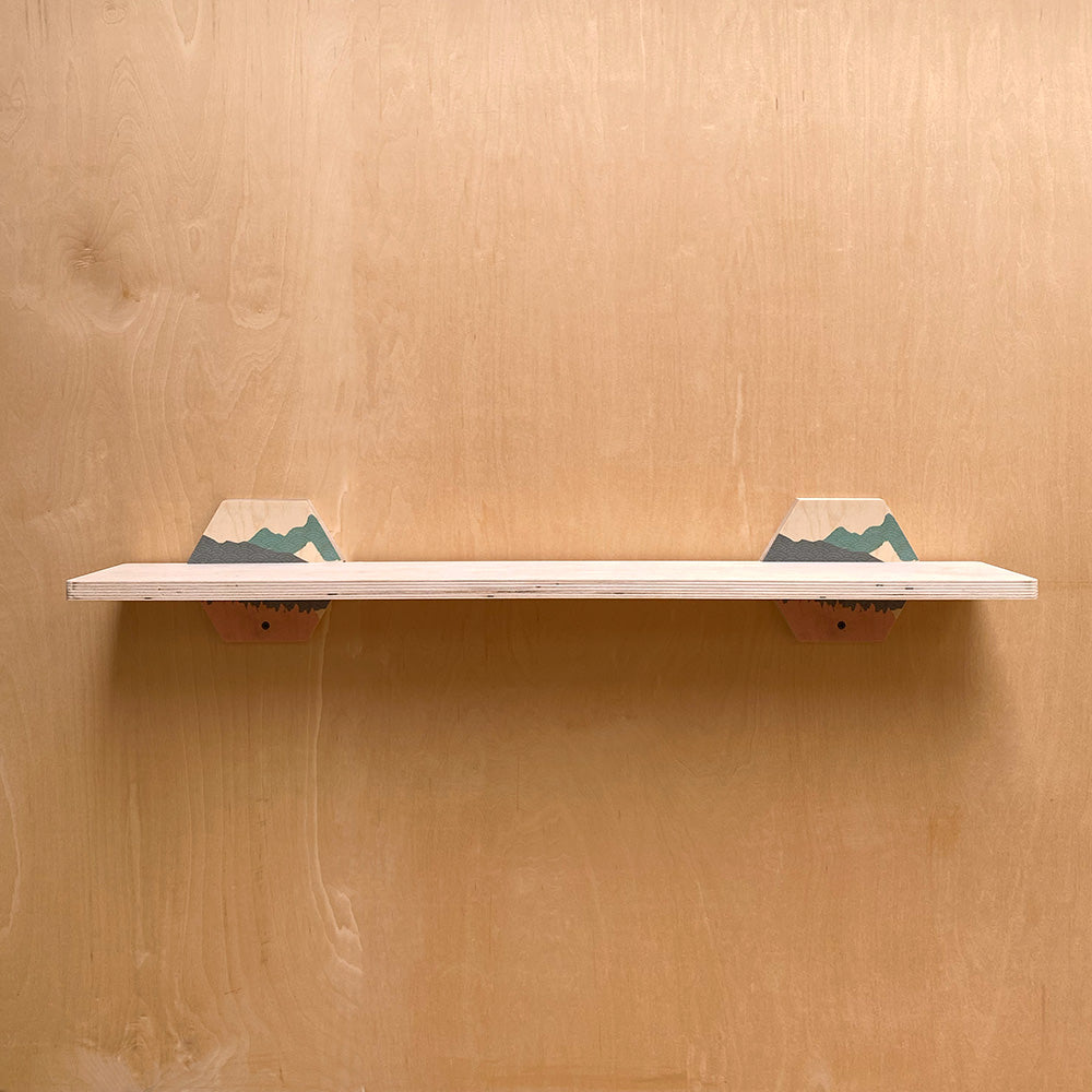 Simple and Sturdy Wall Shelf with Wooden Mount Supports for a Sturdy Wall Display