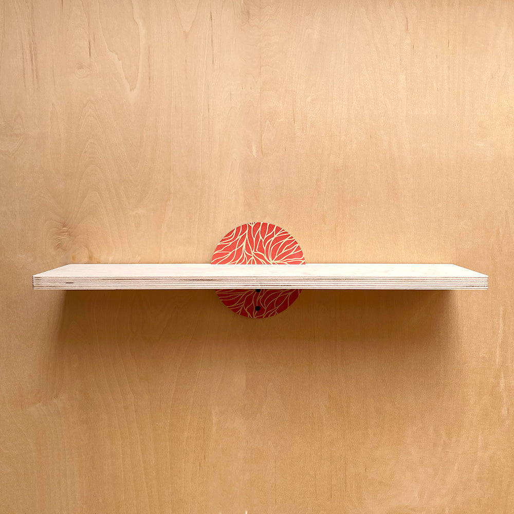 Nature Inspired Sturdy Wall Shelf with Floating Design and Floral Circular Brackets