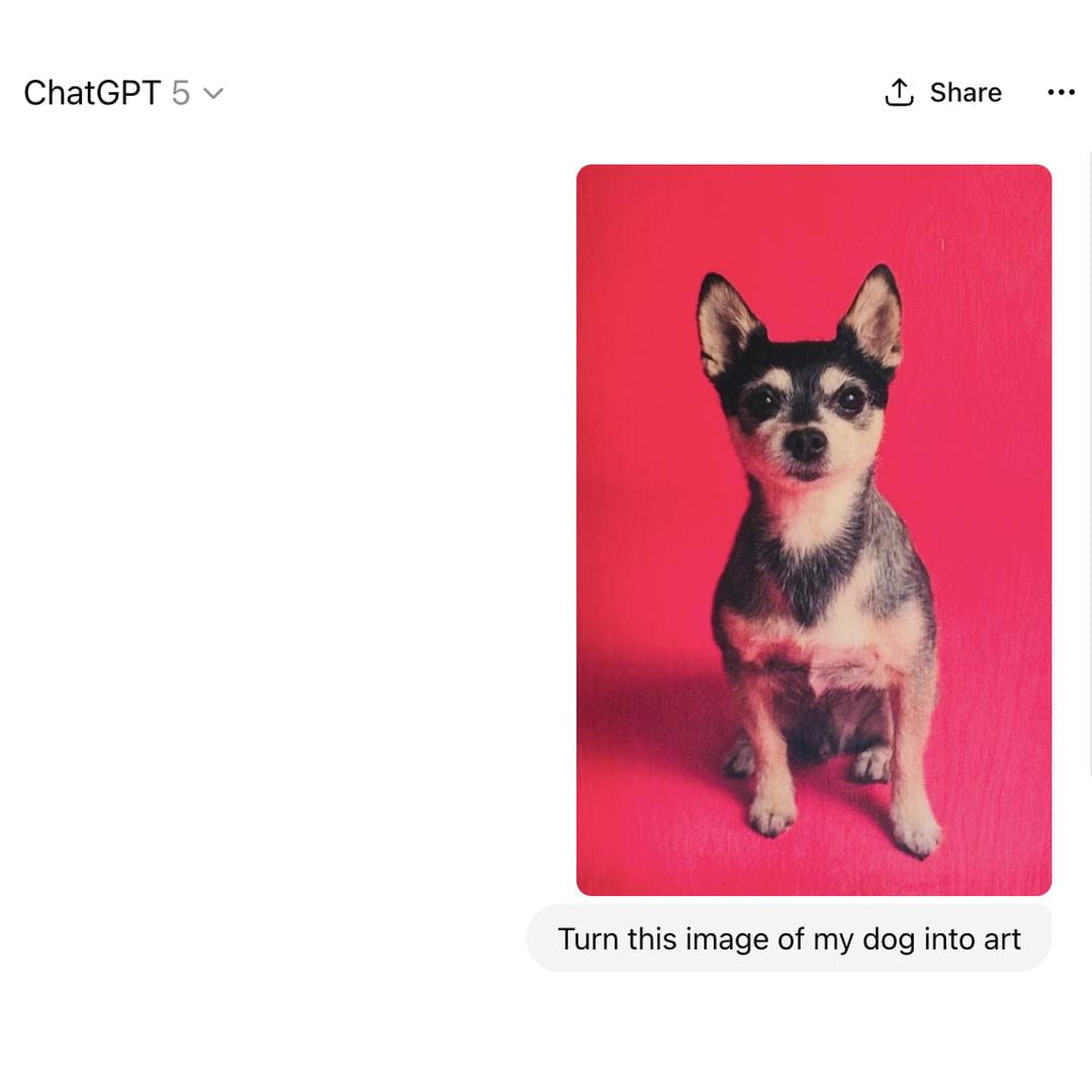 Small dog with black, white, and tan markings, perfect for your favorite photo wall space