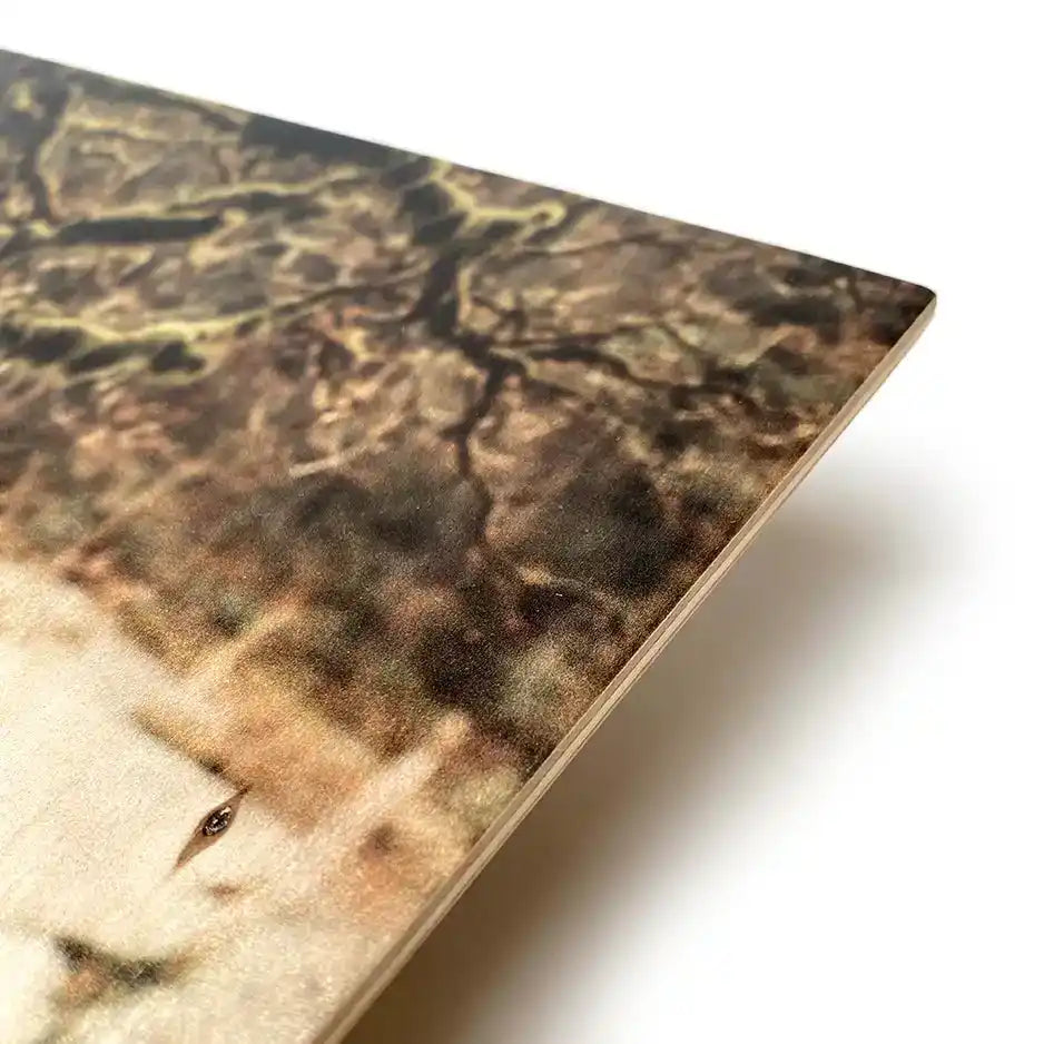 Rectangular cove-edge wood print showcasing handcrafted photo on wood with smooth beveled edge